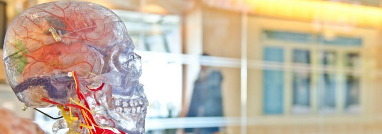 Generalistische Pflegeausbildung